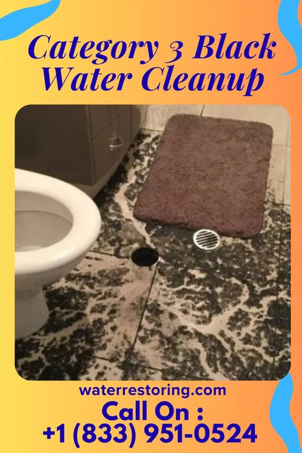 Category 3 Black Water Cleanup in Annetta North, TX